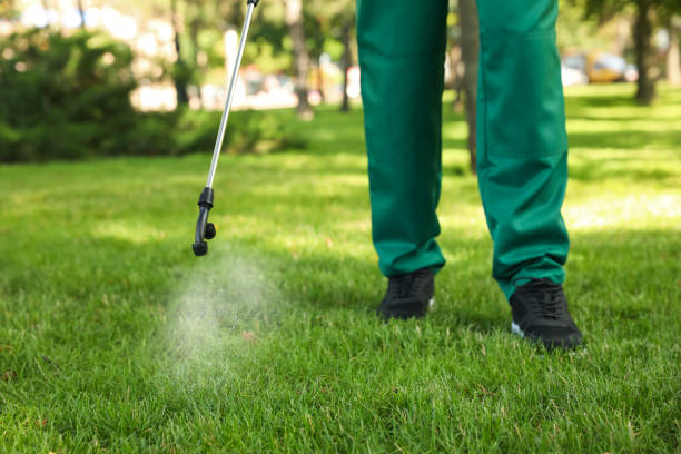 Insect Control in Randallstown, MD