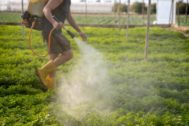 Best Affordable Pest Control Services  in Randallstown, MD