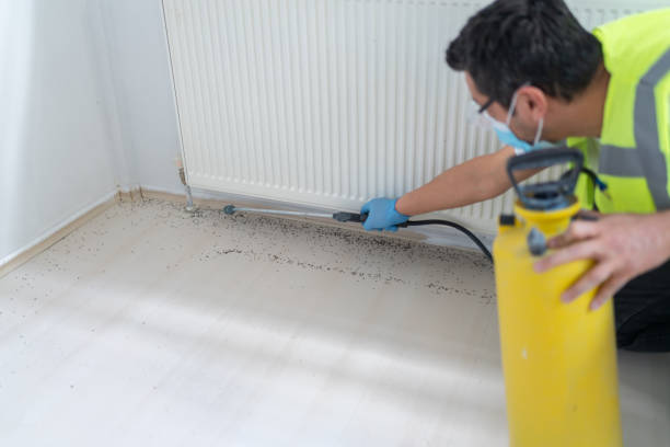 Best Pest Prevention Services  in Randallstown, MD